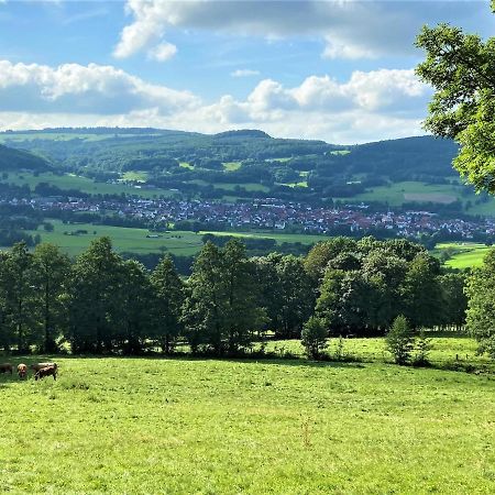 Ferienwohnung Natur-Pur Ehrenberg  Eksteriør bilde
