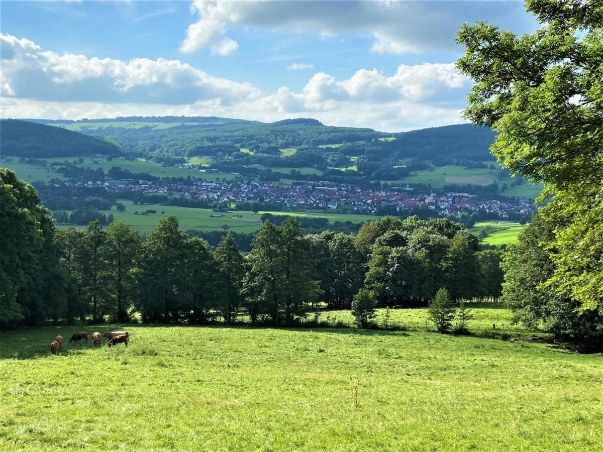 Ferienwohnung Natur-Pur Ehrenberg  Eksteriør bilde